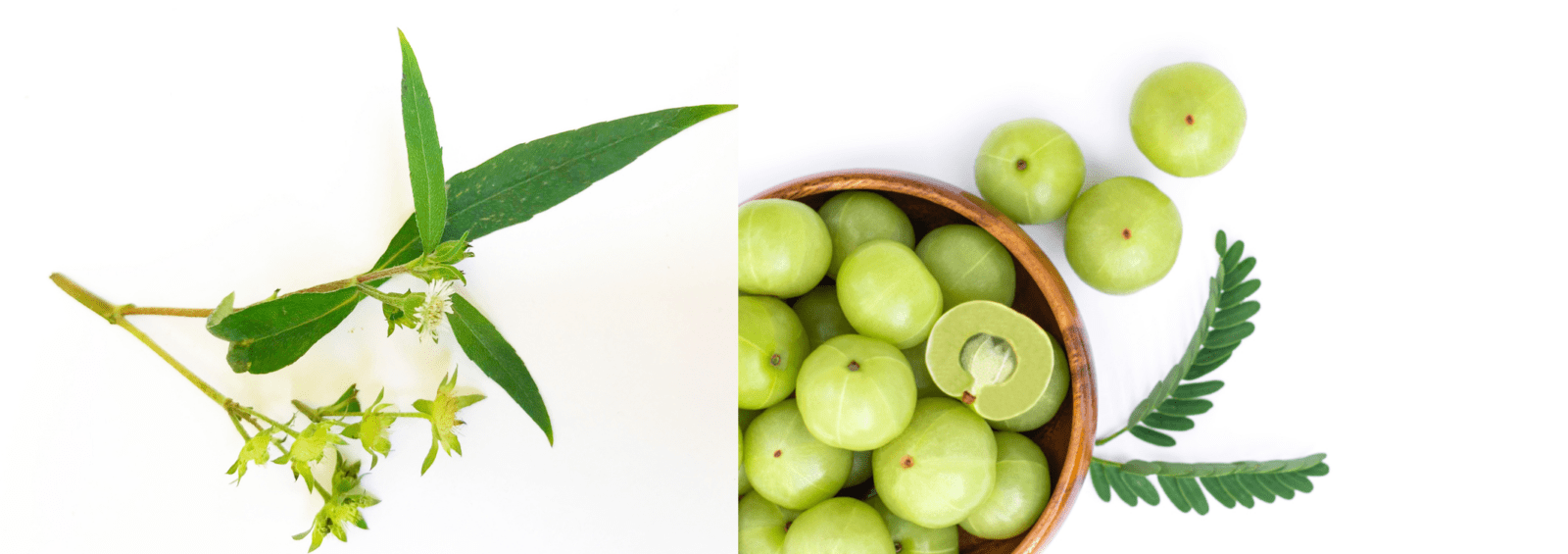 Amla Oil Benefits for Intense Hair Treatment