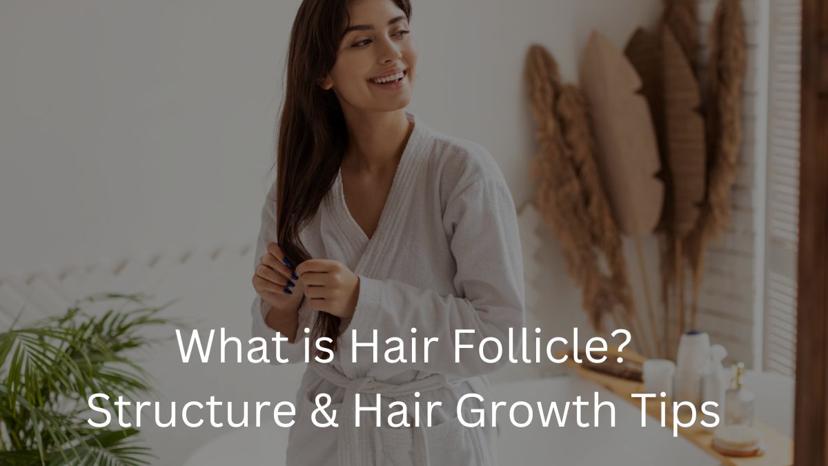 Hair Follicle - What is It, Structure & Growth Tips