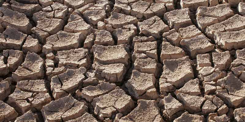 Dry skin tormenting your Baby and you? Find Out Why!