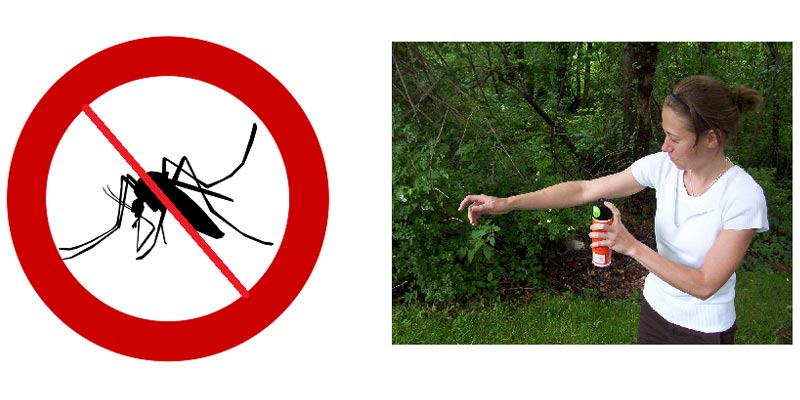 12 Easy steps to completely prevent harmful insect bites
