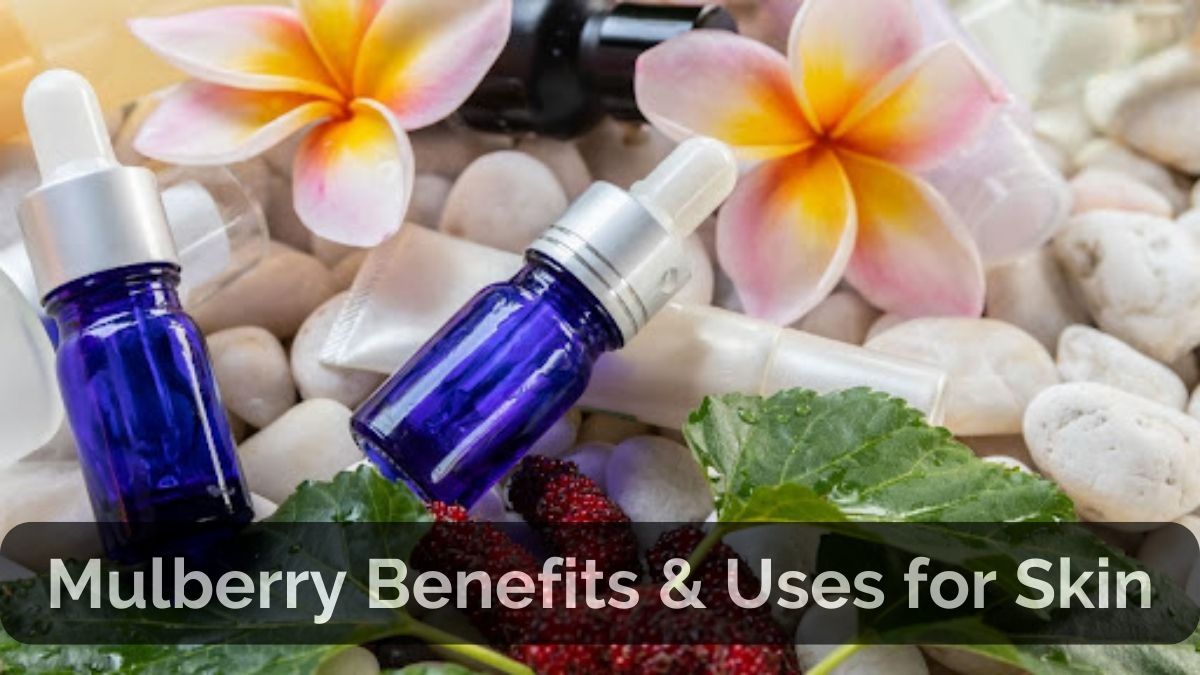 Mulberry Benefits & Uses for Skin | Mamaearth Blog