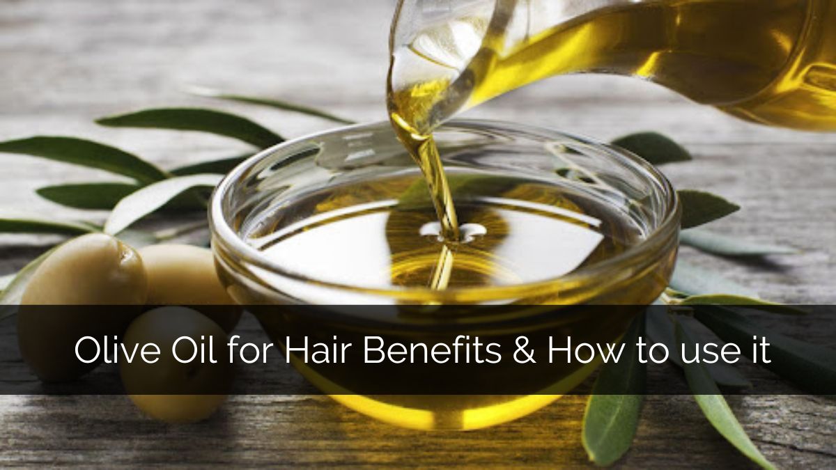Olive Oil for Hair Benefits & How to use it