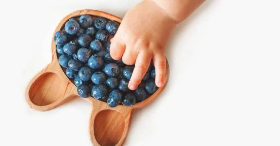 10 blueberry benefits that will shock you