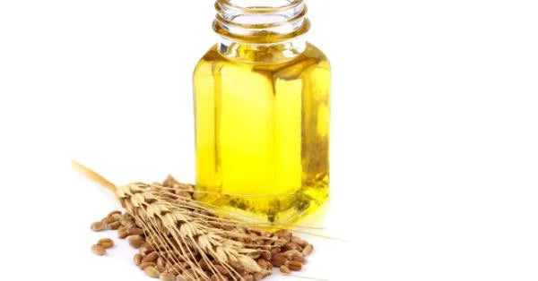 Wheat Germ Oil Benefits for Skin and Hair
