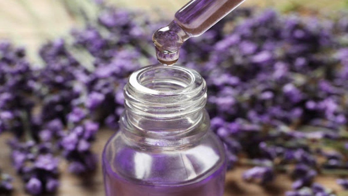 Lavender Oil Benefits for Hair Care | Mamaearth Blog