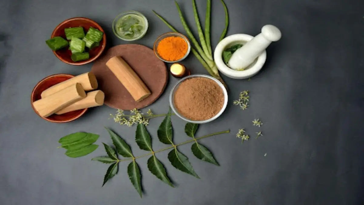 Neem Benefits for Skin | For Acne & Pimples Removal