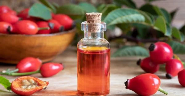 Rosehip Extract Benefits and Uses for Skin