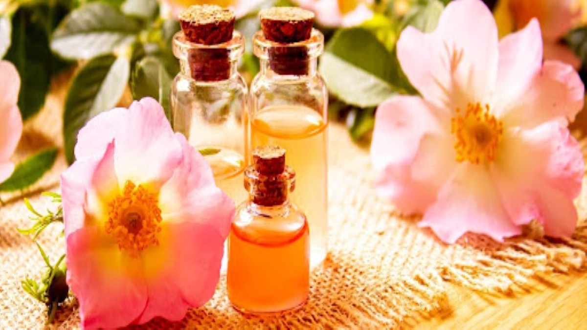 Rosehip Oil Benefits, Constituents, and Best Products