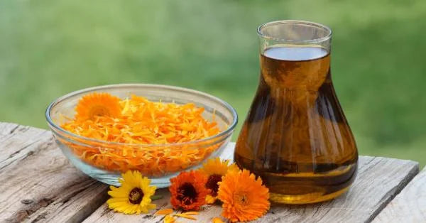 Calendula Benefits for Baby Care