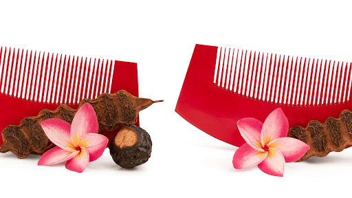 Shikakai Benefits for Hair | Mamaearth Blog
