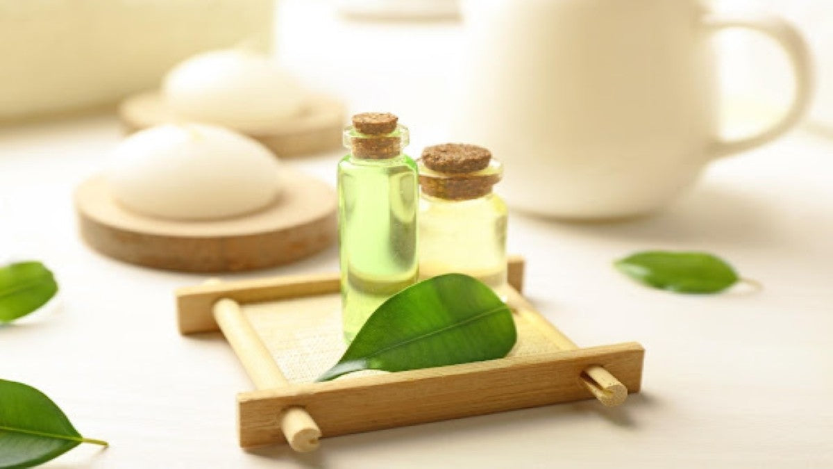 Tea Tree Oil Benefits for Hair & Face | Mamaearth Blog