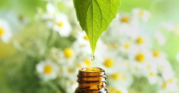 Essential Oil for Hair Growth and Thickness