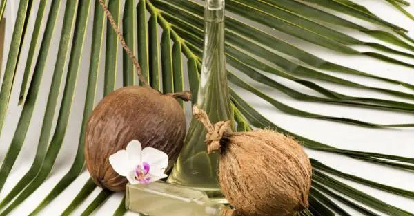 Myristic Acid Benefits for Skin