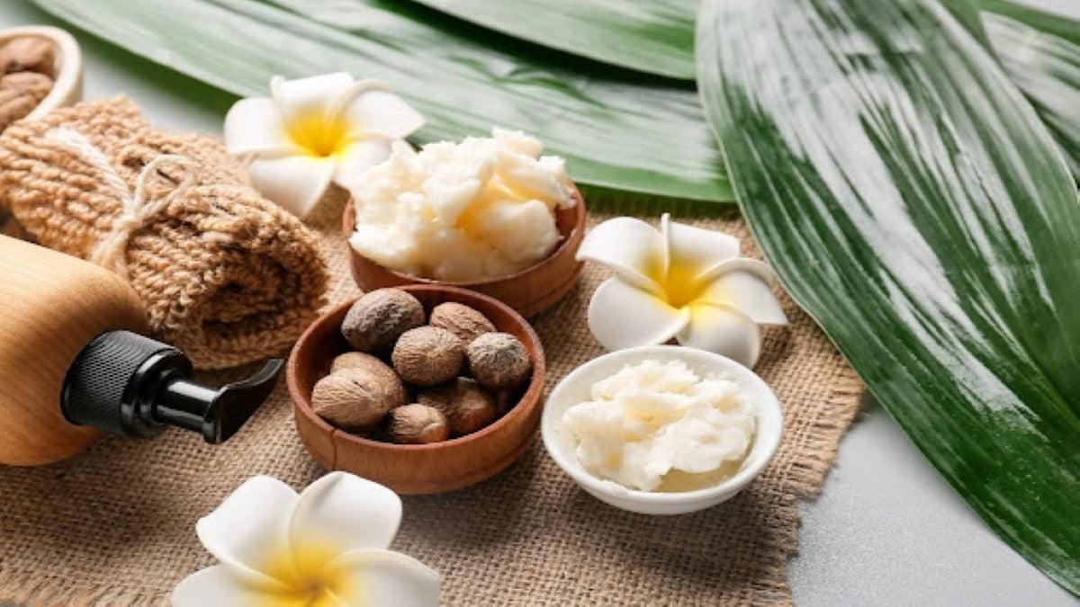 Shea Butter Benefits for all Skin Types | Mamaearth Blog