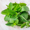 Stevia :