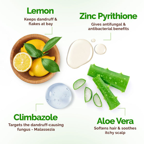 Mamaearth lemon shampoo ingredients with zinc pyrithione aloe vera and climbazole