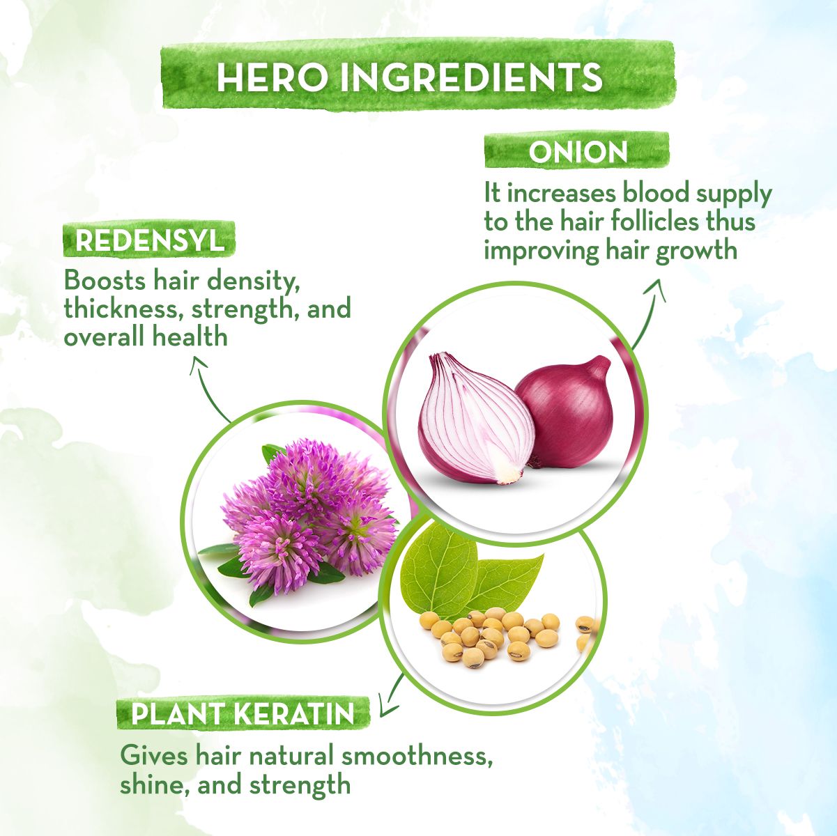 Onion Hair Fall Control Combo -  650 ml + 400 ml