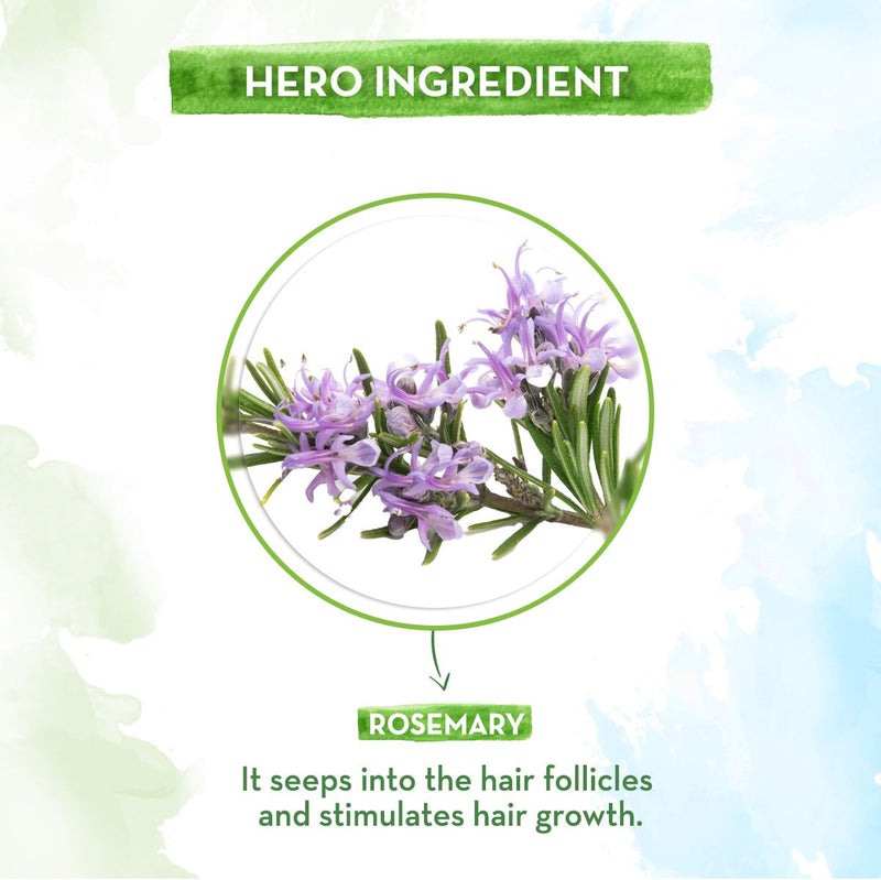Rosemary Essential Oil for Hair Growth - 15 ml