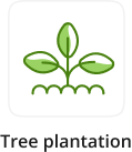 Tree plantation