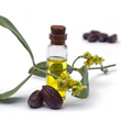 Jojoba Oil :