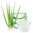 Aloe Vera: