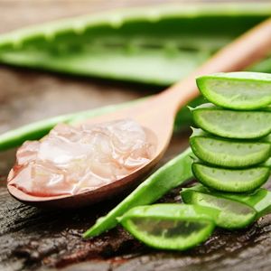 Aloe Vera :