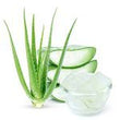 Aloe Vera: