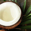 Coconut: