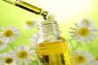 Daisy Flower Extract :