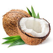 Coconut Oil: