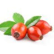 Rosehip:
