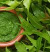 Neem:
