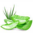 Aloe Vera :