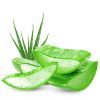 Aloe Vera :