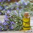 Rosemary Oil :
