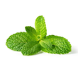 Peppermint Oil: