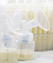 Lauric Acid: