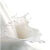 Milk Protein :