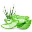 Aloe Vera :