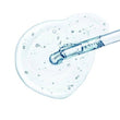 Hyaluronic Acid: