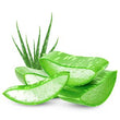 Aloe Vera :