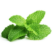 Peppermint:
