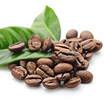 Coffee: