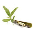 Willow Bark :