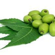 Neem :