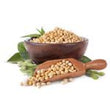 Soybean :