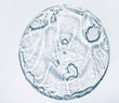 Niacinamide :