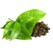 Green Tea :