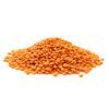 Lentil :