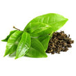 Green Tea :